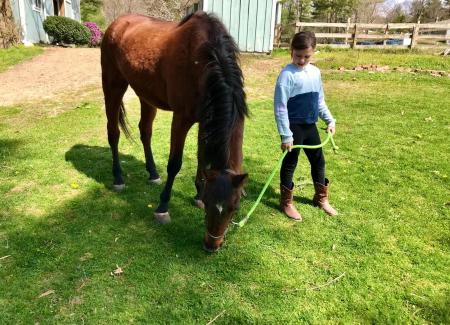 girl with horse